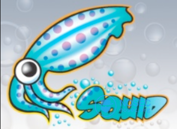 squid.png